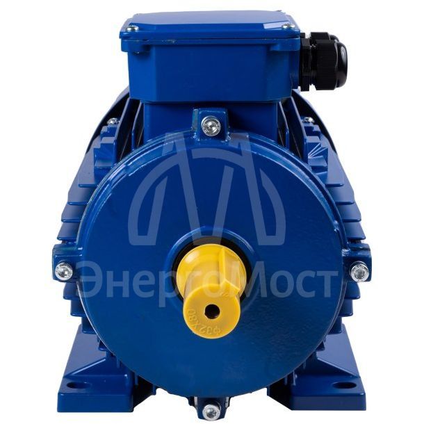 Электродвигатель АИР 100 (4 кВт 3000 об/мин) S2 IM 1081 на лапах