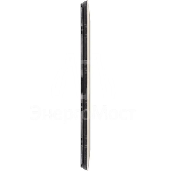 Рамка 2-м Valena Allure универсальная сл. кость Leg 754312