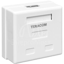 Розетка настенная TERACOM кат.5E неэкранированная 2 порта RJ-45 Dual IDC бел. EKF TRC-WBOX-2RJ45-5EUTP-WH