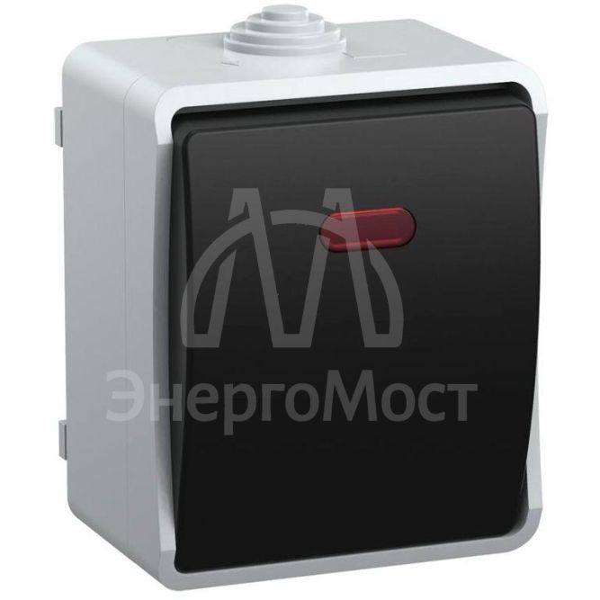 Выключатель 1-кл. ОП Форс 10А IP54 ВС20-1-1-ФСр с индикацией сер. IEK EVS11-K03-10-54-DC