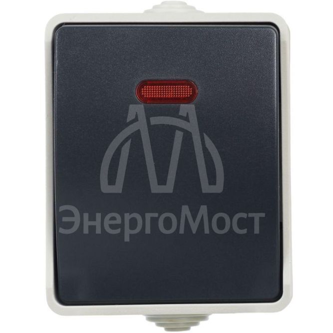 Выключатель 1-кл. ОП Форс 10А IP54 ВС20-1-1-ФСр с индикацией сер. IEK EVS11-K03-10-54-DC