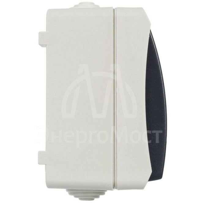 Выключатель 1-кл. ОП Форс 10А IP54 ВС20-1-1-ФСр с индикацией сер. IEK EVS11-K03-10-54-DC