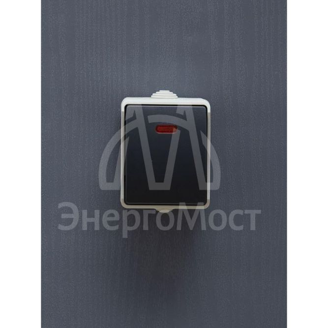 Выключатель 1-кл. ОП Форс 10А IP54 ВС20-1-1-ФСр с индикацией сер. IEK EVS11-K03-10-54-DC