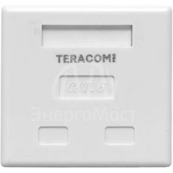 Розетка настенная TERACOM PRO кат.6 неэкранированная 2 порта RJ-45 Dual IDC бел. EKF TRP-WBOX-2RJ45-6UTP-WH