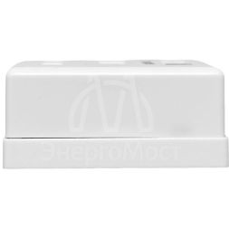 Розетка настенная TERACOM PRO кат.6 неэкранированная 2 порта RJ-45 Dual IDC бел. EKF TRP-WBOX-2RJ45-6UTP-WH