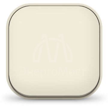 Выключатель 1-кл. 1п ОП 10А IP20 сл. кость IONICH 1423