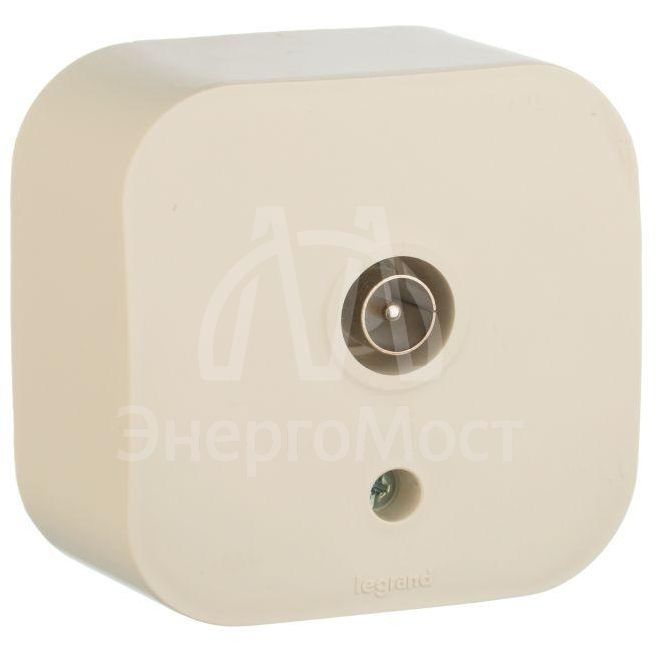 Розетка TV 1-м ОП &amp;quot;звезда&amp;quot; Quteo сл. кость Leg 782245