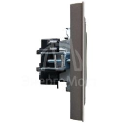 Розетка СП BRITE РСР10-1-0-БрС 10А в сборе без заземл. без защ. шторок сталь IEK BR-R10-10-K46-F