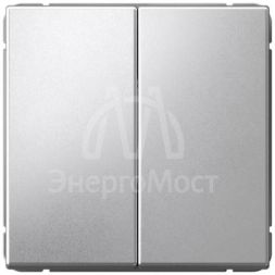 Выключатель 2-кл. ArtGallery 10AX быстрозажим. клем. механизм алюм. SE GAL000351S