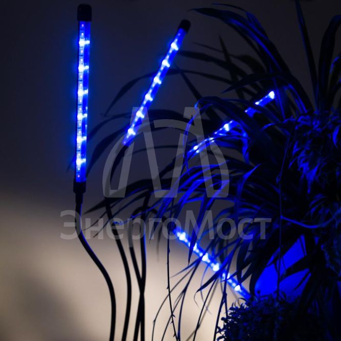 Светильник светодиодный «КРИСТАЛЛ» CTL2-USB-bl Agro для растений спектр 4 плафона по 10Вт на прищепке пульт на шнуре IP40 красн./син. ФАZА 5068810