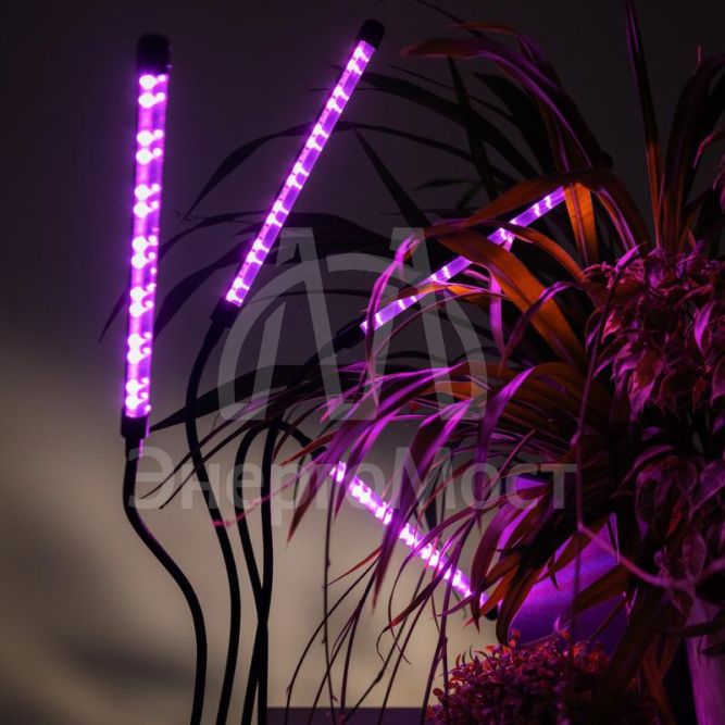 Светильник светодиодный «КРИСТАЛЛ» CTL2-USB-bl Agro для растений спектр 4 плафона по 10Вт на прищепке пульт на шнуре IP40 красн./син. ФАZА 5068810