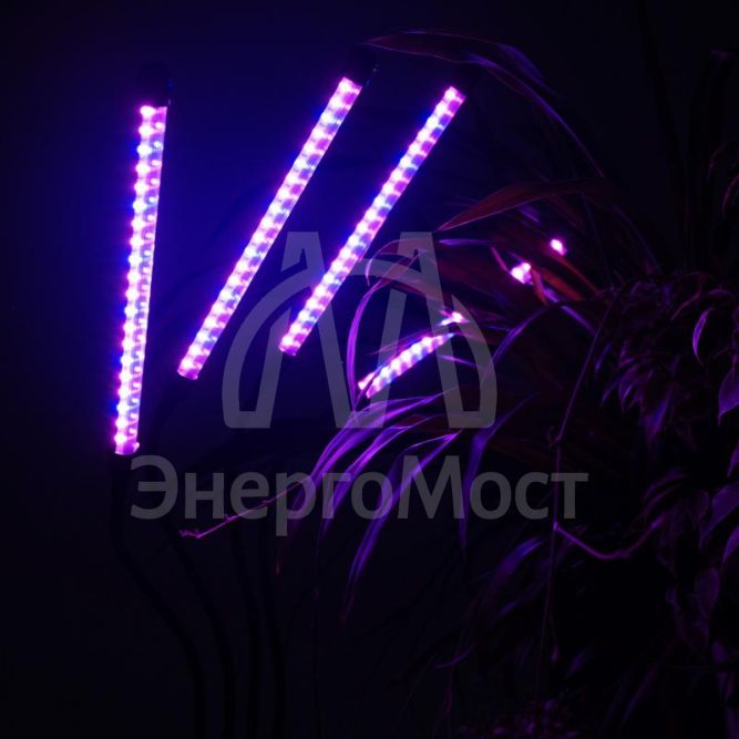 Светильник светодиодный «КРИСТАЛЛ» CTL2-USB-bl Agro для растений спектр 4 плафона по 10Вт на прищепке пульт на шнуре IP40 красн./син. ФАZА 5068810