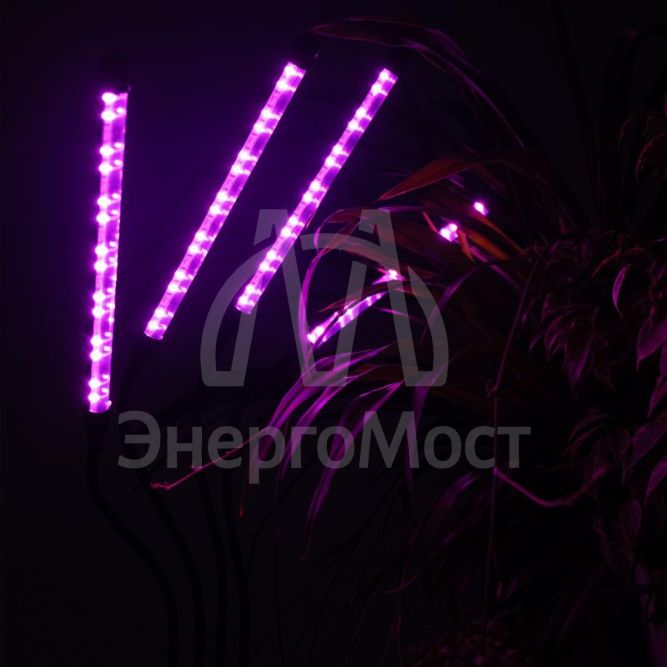 Светильник светодиодный «КРИСТАЛЛ» CTL2-USB-bl Agro для растений спектр 4 плафона по 10Вт на прищепке пульт на шнуре IP40 красн./син. ФАZА 5068810