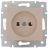 Механизм розетки 1-м СП KARINA 16А IP20 без заземл. термопласт крем. LEZARD 707-0388-121B
