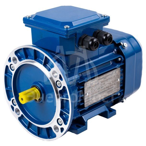Электродвигатель АИР 112 (7,5 кВт 3000 об/мин) М2 IM 2081 на лапах с фланцем
