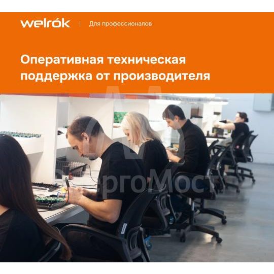 Терморегулятор pt Welrok 4660251140175