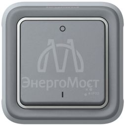 Механизм выключателя 1-кл. 2п СП Plexo 10А IP55 10AX сер. Leg 069530