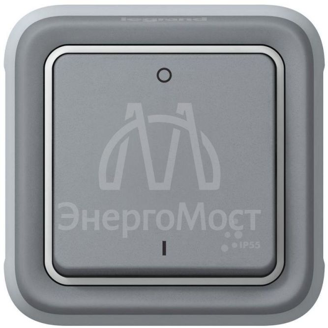 Механизм выключателя 1-кл. 2п СП Plexo 10А IP55 10AX сер. Leg 069530