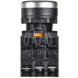 Кнопка d22мм 1НО+1НЗ MASTER с подсветкой и фиксацией бел. IEK MI-BT60-11TD-3-11-K01