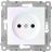 Розетка 1-м СП Pixel 16А IP20 без заземл. защ. шторки механизм перламутр. TOKOV ELECTRIC TKE-PX-R1SF-C04