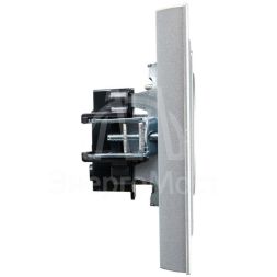 Розетка СП BRITE РСР10-1-0-БрА 10А в сборе без заземл. без защ. шторок алюм. IEK BR-R10-10-K47-F