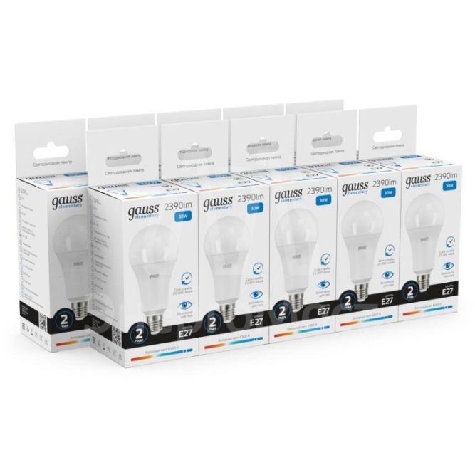 Лампа светодиодная Elementary A67 30Вт E27 6500К Gauss 73239