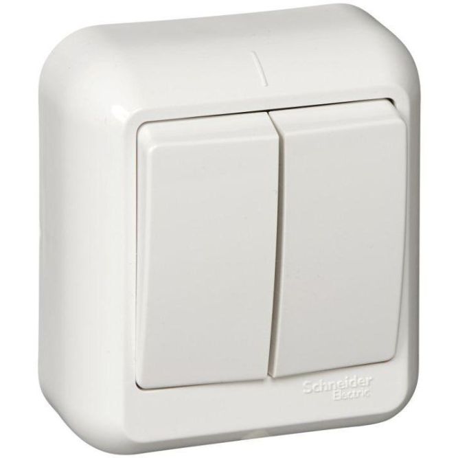 Выключатель 2-кл. ОП Прима 6А IP20 с монтаж. пластиной бел. (опт. упак.) SchE A56-029M-B
