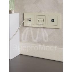 Розетка компьютерная двойная СП RJ45 кат.5E BRITE РК10-2-БрКр беж. IEK BR-K20-1-K10