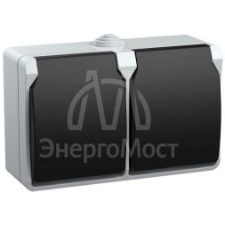 Розетка 2-м ОП Форс РСб22-3-ФСр с защ. крышкой с заземл. IP54 IEK ERS22-K03-16-54-DC