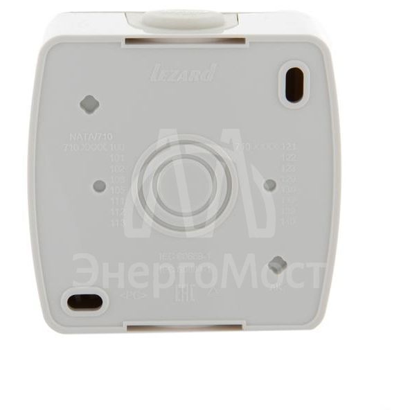 Выключатель 2-кл. ОП Ната 10А IP20 бел. LEZARD 710-0200-101