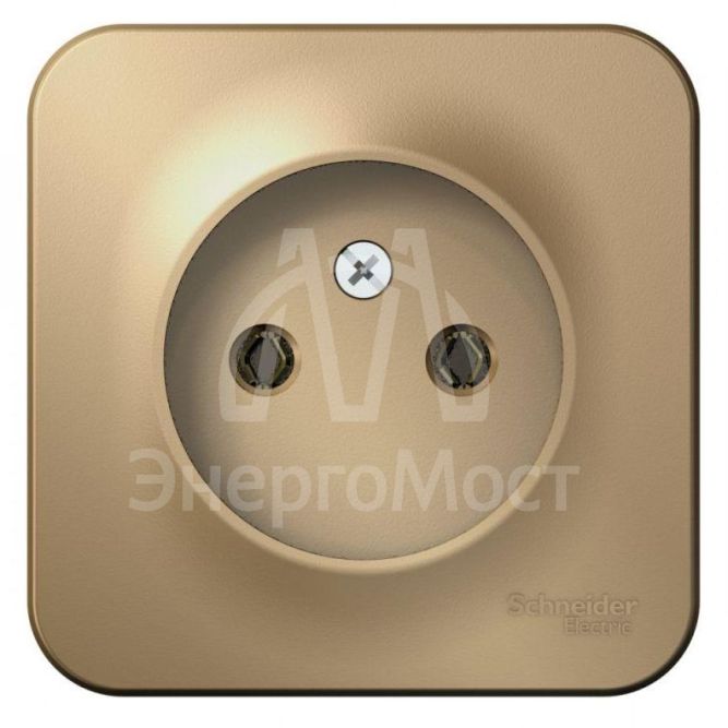 Розетка 1-м ОП BLANCA 16А 250В без шторок без заземл. изол. пласт. титан SchE BLNRA000114