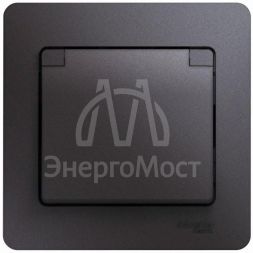 Розетка 1-м Glossa 16А 250В с защ. крышкой защ. шторки с заземл. в сборе IP20 графит SchE GSL001346