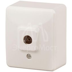 Розетка TV 1мод. ОП 11-3201-02 Эксперт сл. кость ЭРА Б0020725