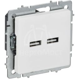 Розетка BRITE РЮ10-1-БрАБ USB A+A 3.1А механизм арктич. бел. IEK BR-U21-D31-K91