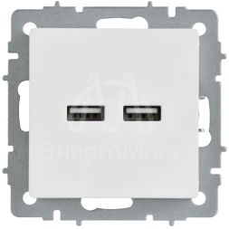 Розетка BRITE РЮ10-1-БрАБ USB A+A 3.1А механизм арктич. бел. IEK BR-U21-D31-K91