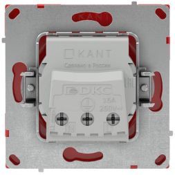 Розетка силовая KANT 2P+E без шторки красн. сатин DKC 7001033