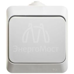 Переключатель 1-кл. ОП Этюд 10А IP44 10AX сер. SchE BA10-046C