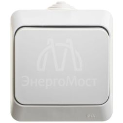 Переключатель 1-кл. ОП Этюд 10А IP44 10AX сер. SchE BA10-046C