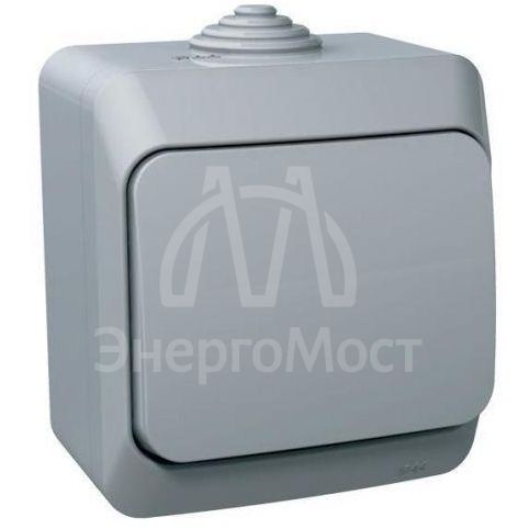 Переключатель 1-кл. ОП Этюд 10А IP44 10AX сер. SchE BA10-046C