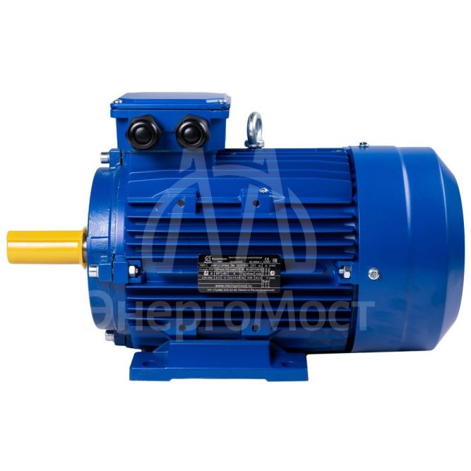 Электродвигатель АИР 90 (1,5 кВт 1000 об/мин) L6 IM 1081 на лапах