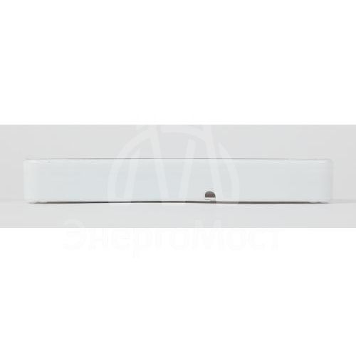 Светильник светодиодный DBA-102-0-20 30LED 5ч IP20 выход аварийный непостоянный Эра Б0044395