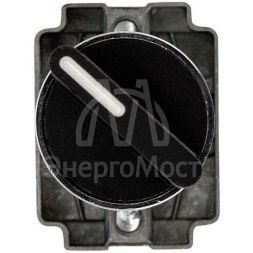 Переключатель BD21 2P короткая ручка NO Rexant 36-5550