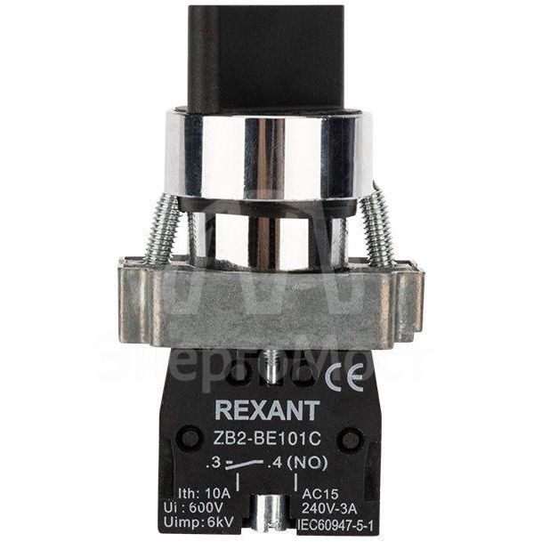 Переключатель BD21 2P короткая ручка NO Rexant 36-5550