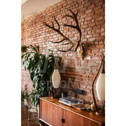 Розетка телевизионная TV 1-м ОП Quteo IP20 с топологией &amp;quot;звезда&amp;quot; черн. матов. Leg 782478