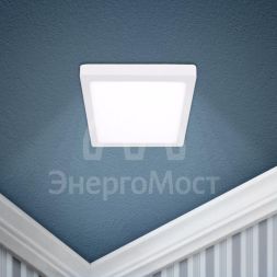Светильник светодиодный LED 9-12-4K 12Вт 220В 4000К квадратный накладной бел. ЭРА Б0050272