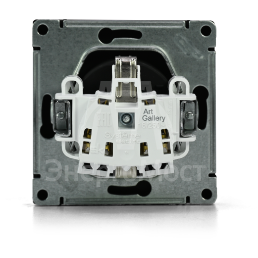 Розетка ArtGallery 16А с заземл. быстрозажим. клем. механизм карбон SE GAL001043S