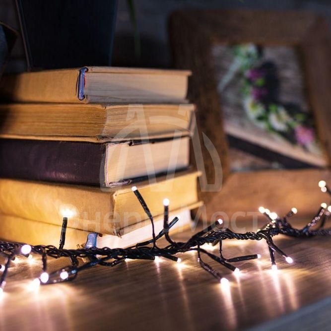 Гирлянда &amp;quot;Кластер&amp;quot; 3м 288LED тепл. бел. провод темн.-зел. IP20 Neon-Night 303-626