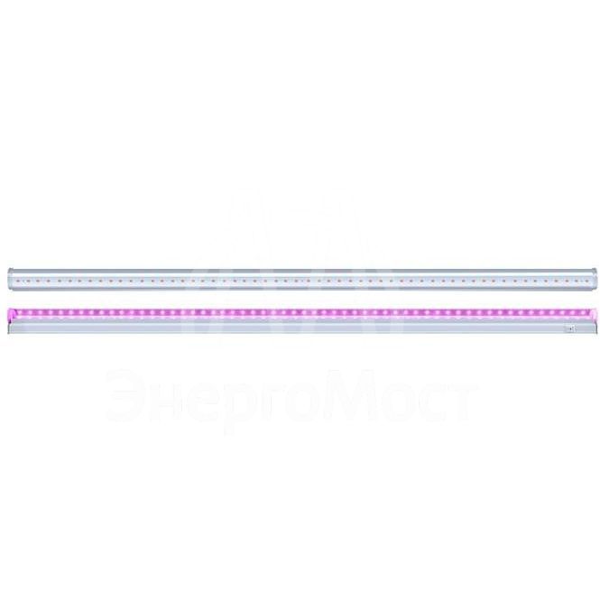 Светильник светодиодный для растений PPG T5i- 600 Agro WHITE 8Вт IP20 Jazzway 5025998