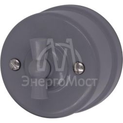 Выключатель 1-кл.пластик титан Bironi B1-200-26