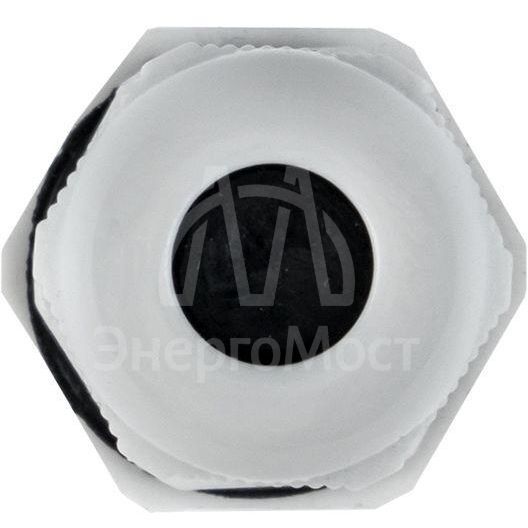 Сальник PG7 IP54 d отв. 13мм/d провод. 3-6.5мм PROxima EKF plc-pg-7-r